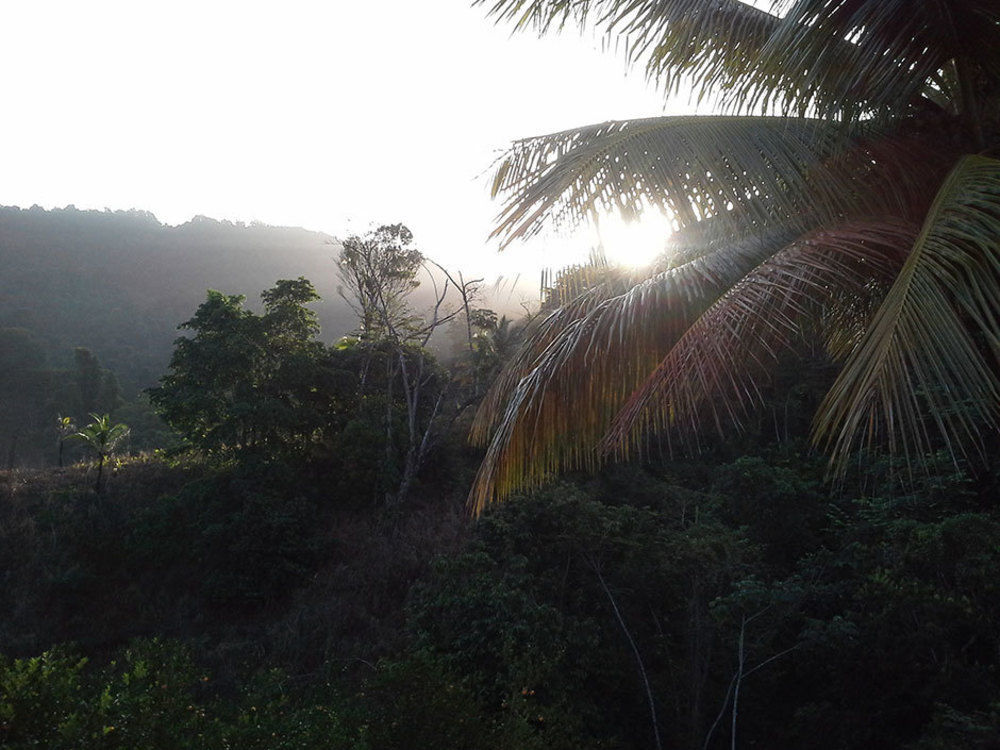 Las Cuevas Beach Lodge Ngoại thất bức ảnh